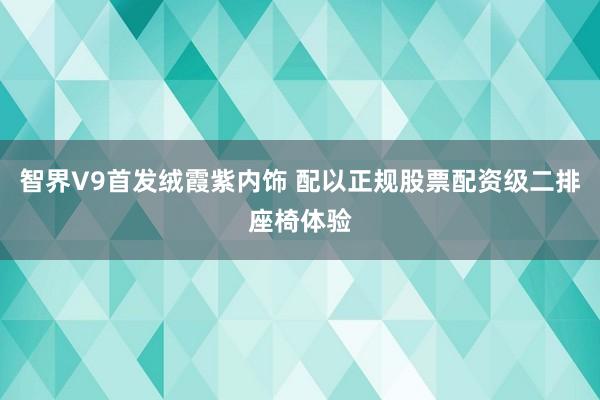 智界V9首发绒霞紫内饰 配以正规股票配资级二排座椅体验