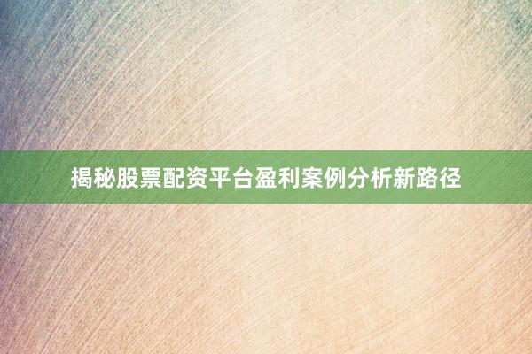 揭秘股票配资平台盈利案例分析新路径