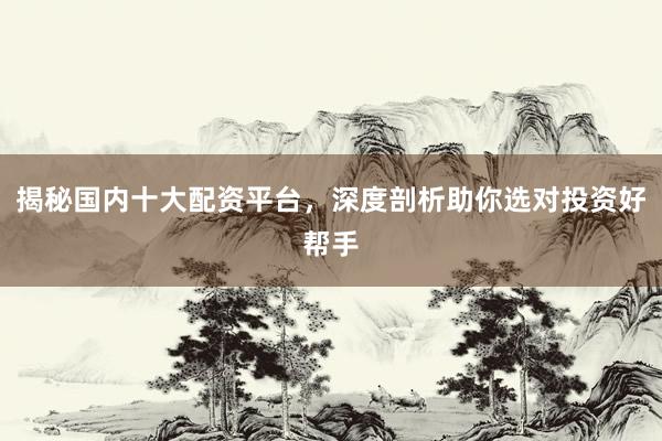 揭秘国内十大配资平台，深度剖析助你选对投资好帮手