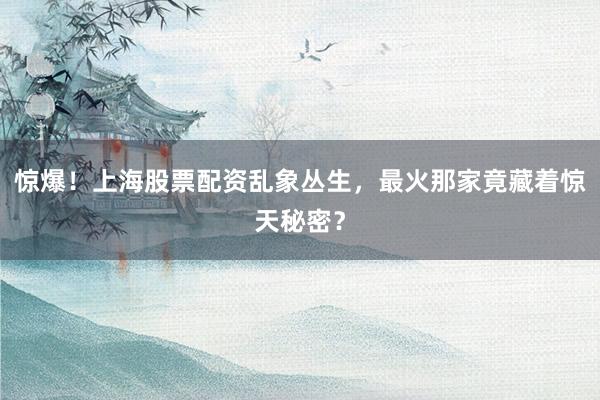 惊爆！上海股票配资乱象丛生，最火那家竟藏着惊天秘密？