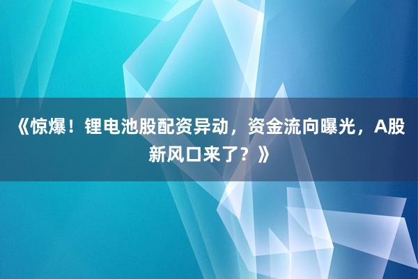《惊爆！锂电池股配资异动，资金流向曝光，A股新风口来了？》