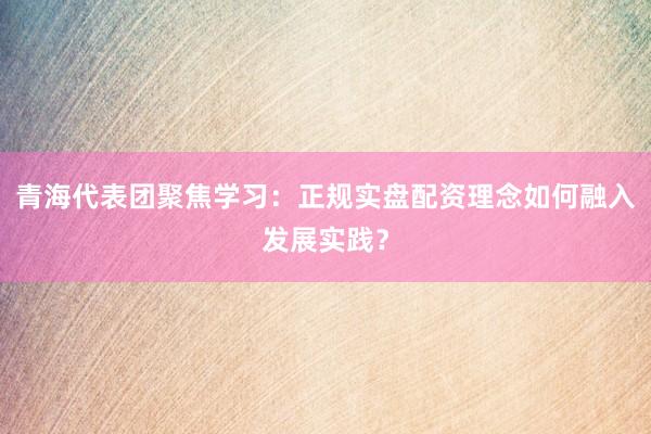 青海代表团聚焦学习:正规实盘配资理念如何融入发展实践?