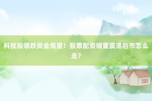 科技股领跌资金观望！股票配资缩量震荡后市怎么走？